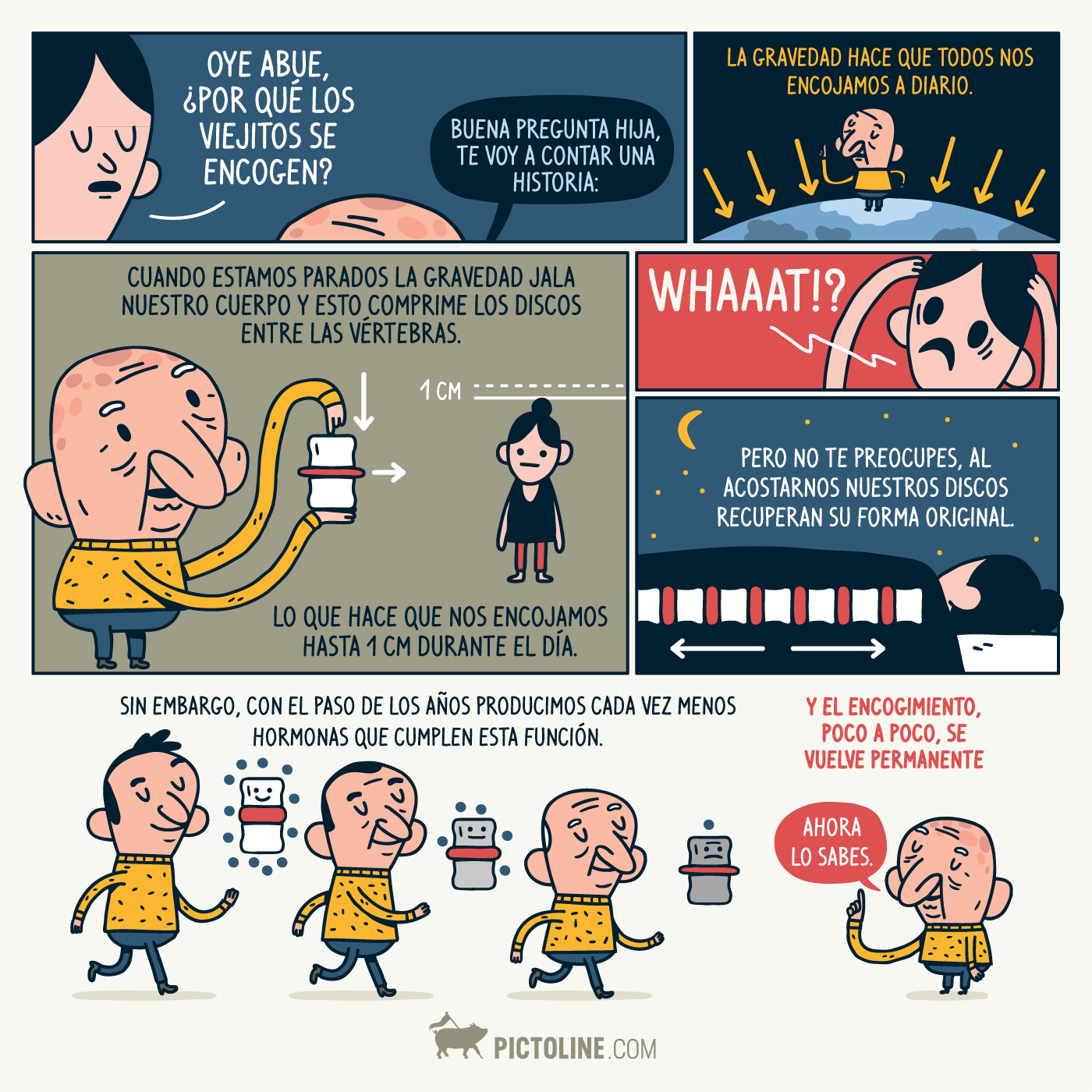 ¿Por qué los viejitos se encojen?