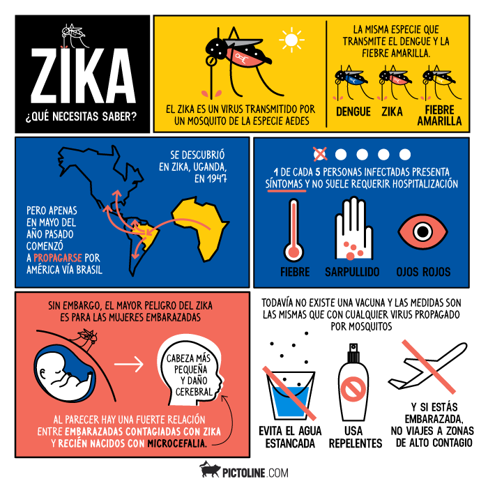 Zika: ¿Qué necesitas saber?