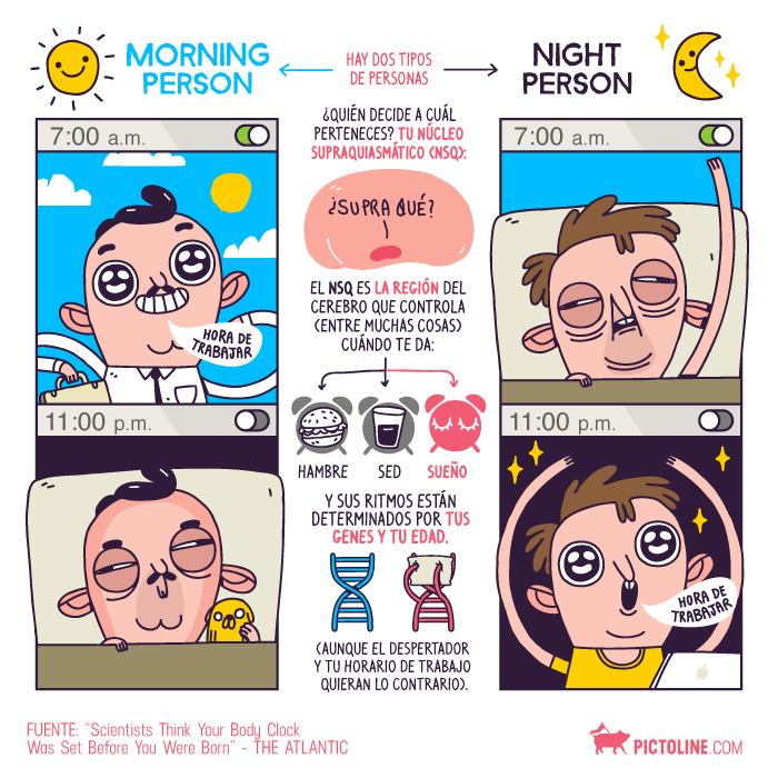 Hay dos tipos de personas: morning person y night person