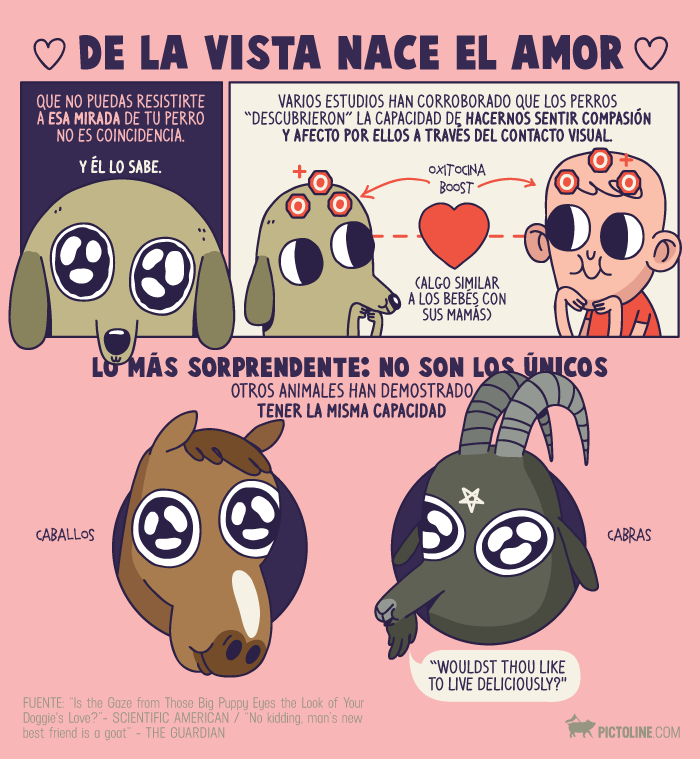 De la vista nace el amor