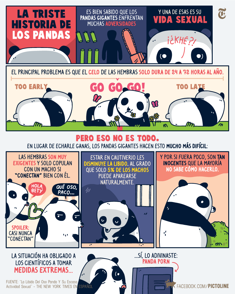 La triste historia (sexual) de los pandas