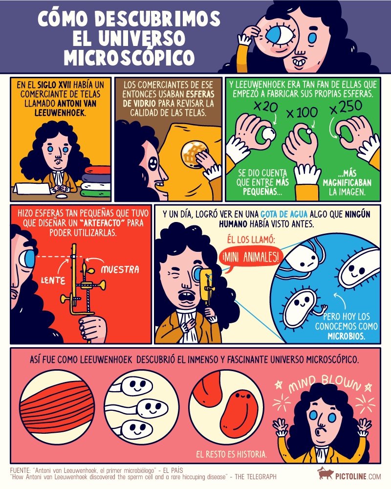 Cómo descubrimos el universo microscópico