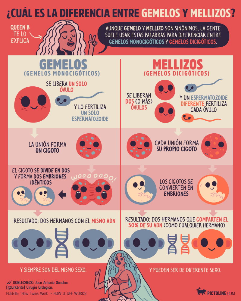 Diferencia entre gemelos y mellizos