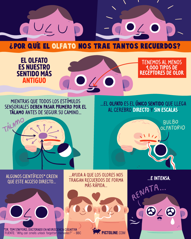 ¿Por qué el olfato nos trae tantos recuerdos?
