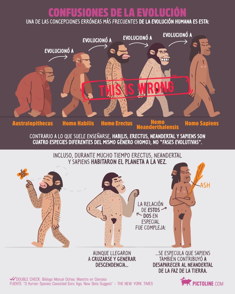 Confusiones de la evolución
