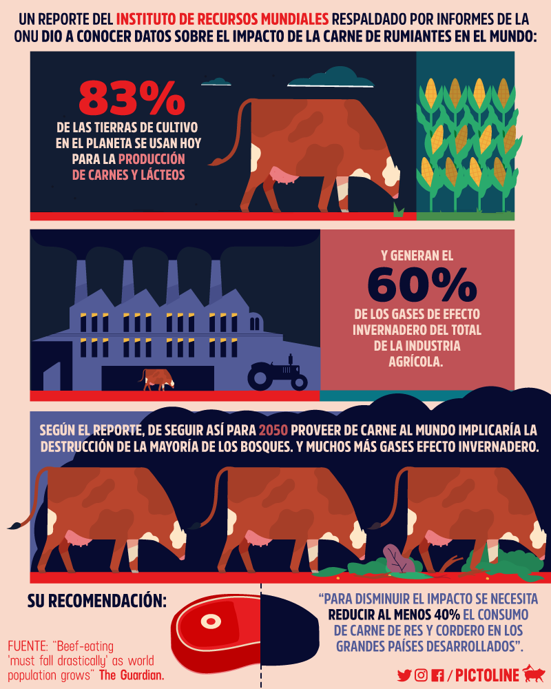 El impacto de la carne de rumiantes en el mundo