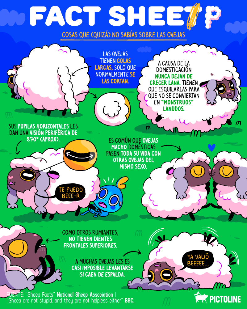 Fact Sheep