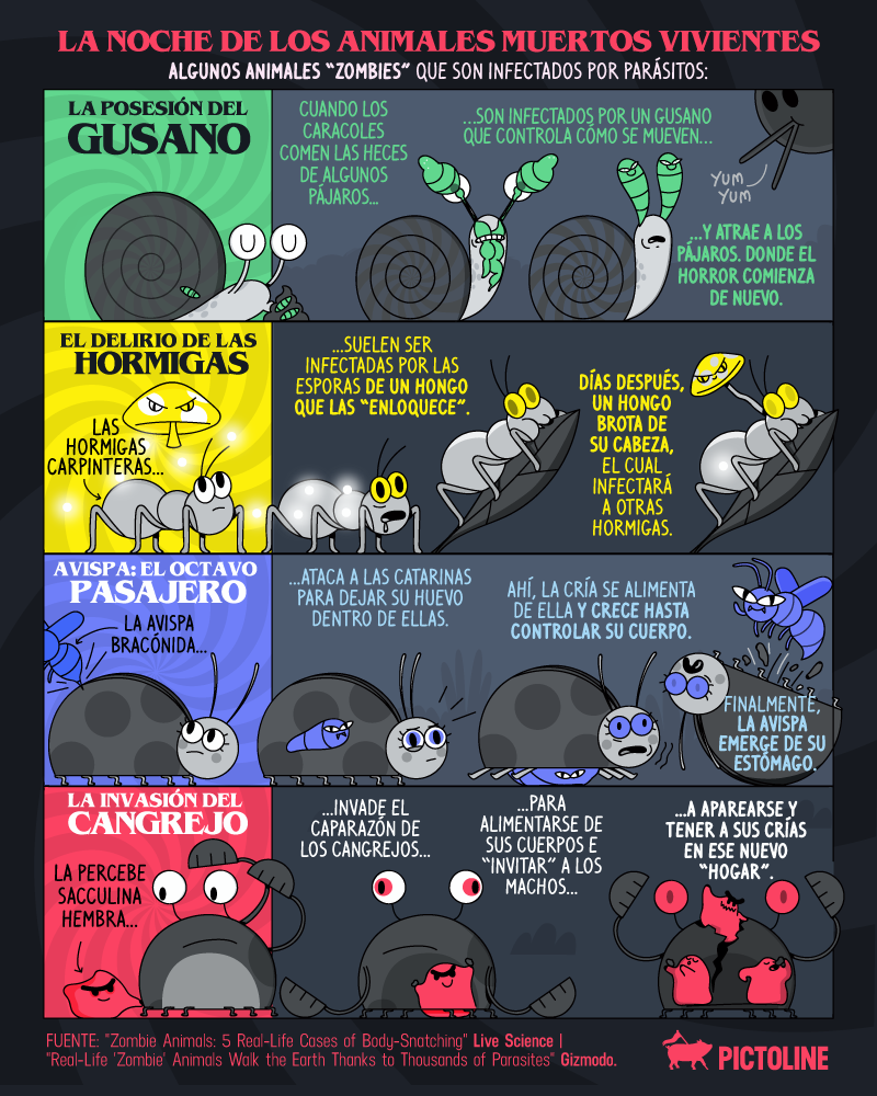 Seguramente ya viste el caracol “zombie” ??‍♀️ Estos son otros animales que son invadidos por parásitos: