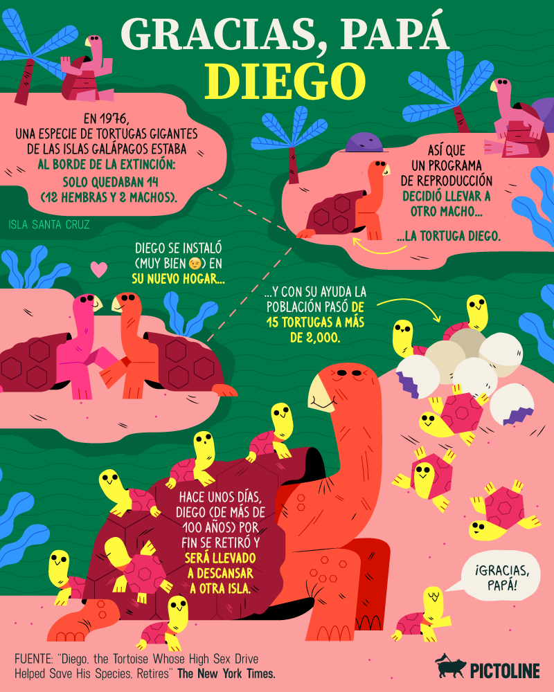 Diego, una tortuga de más de 100 años, ayudó a repoblar una isla de las Galápagos 🐢x2000 Hace unos días se anunció su retiro y solo podemos decir: ¡Gracias, Diego! 🙌