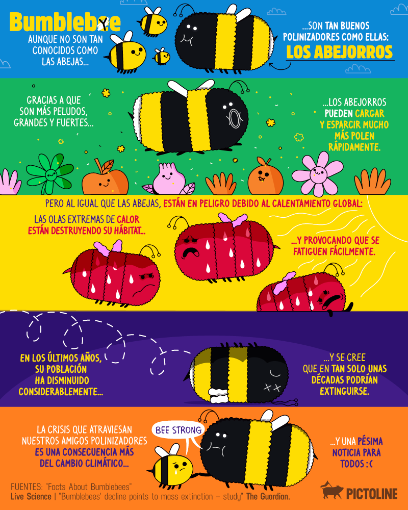 Aunque no son tan populares como las abejas, los abejorros son grandes polinizadores 🌸🐝🌼 Desafortunadamente, al igual que ellas, están en peligro de desaparecer 😔