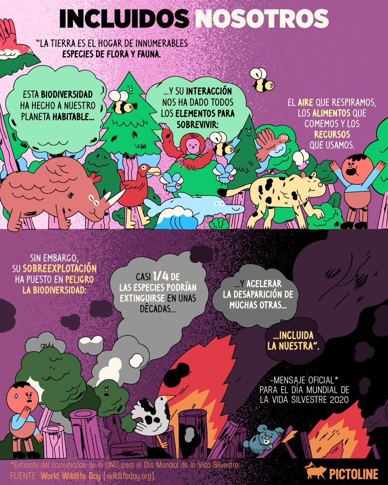 Los humanos seguimos acabando con la biodiversidad de nuestro planeta 🌎🌱🌳 🐛🐠 En el Día Mundial de la Vida Silvestre, no olvidemos que sin ella, nosotros podríamos desaparecer también 😞