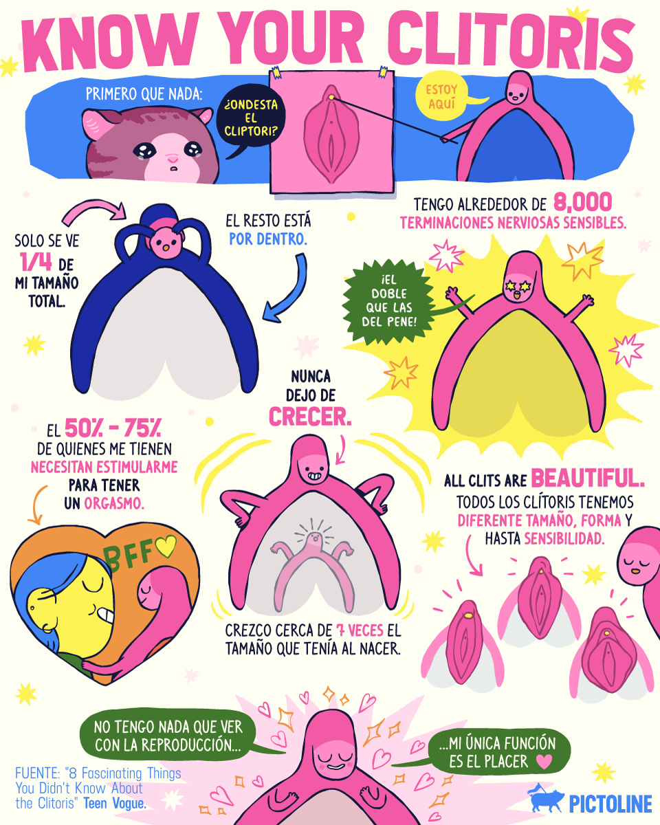 Nunca deja de crecer 💗 Todos son distintos 💚💜💛 Tiene 8 mil terminaciones nerviosas 😲💖 Algunos datos sobre el clítoris en el Día Internacional del Orgasmo Femenino: