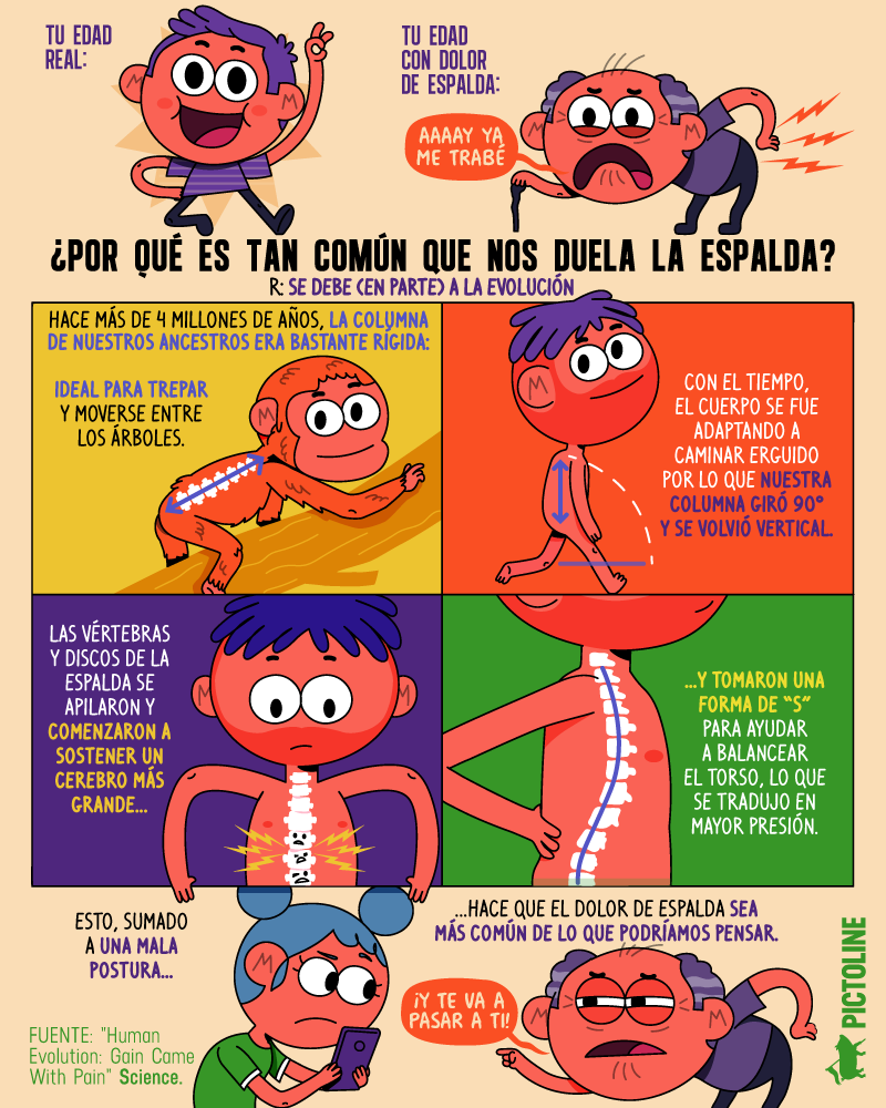 Tu edad real: ✨👩👨✨ Tu edad con dolor de espalda: 👵👴 ¿Por qué es taaaan común el dolor de espalda? 😫