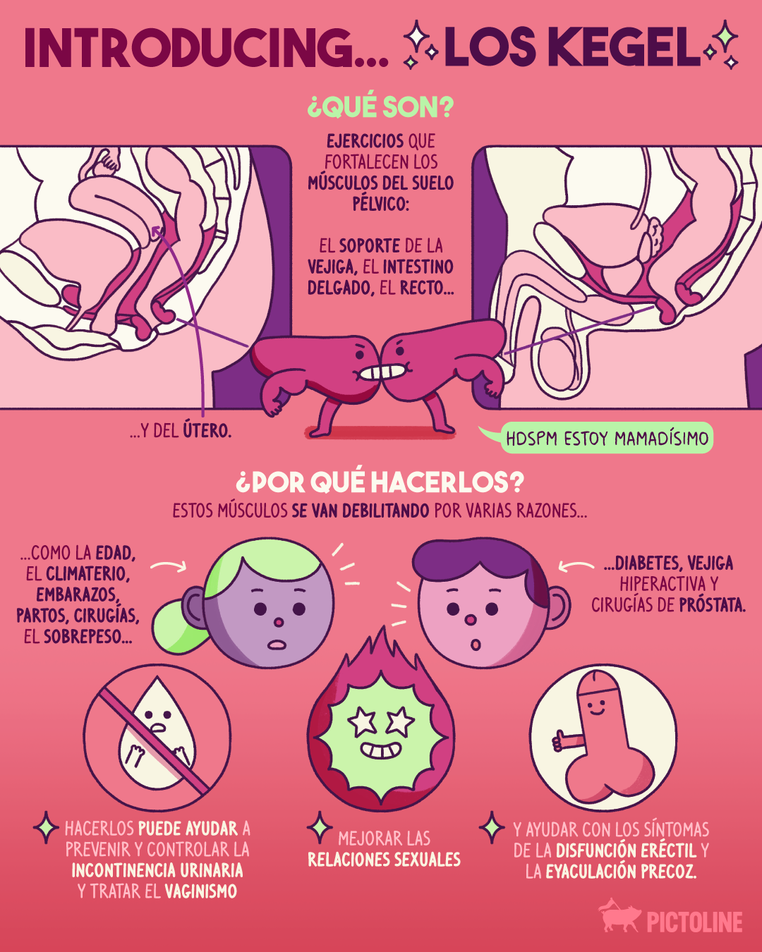 Introducing... ✨ los kegel ✨ Ejercicios que mejorarán tu salud 💪 y tu vida 🔥