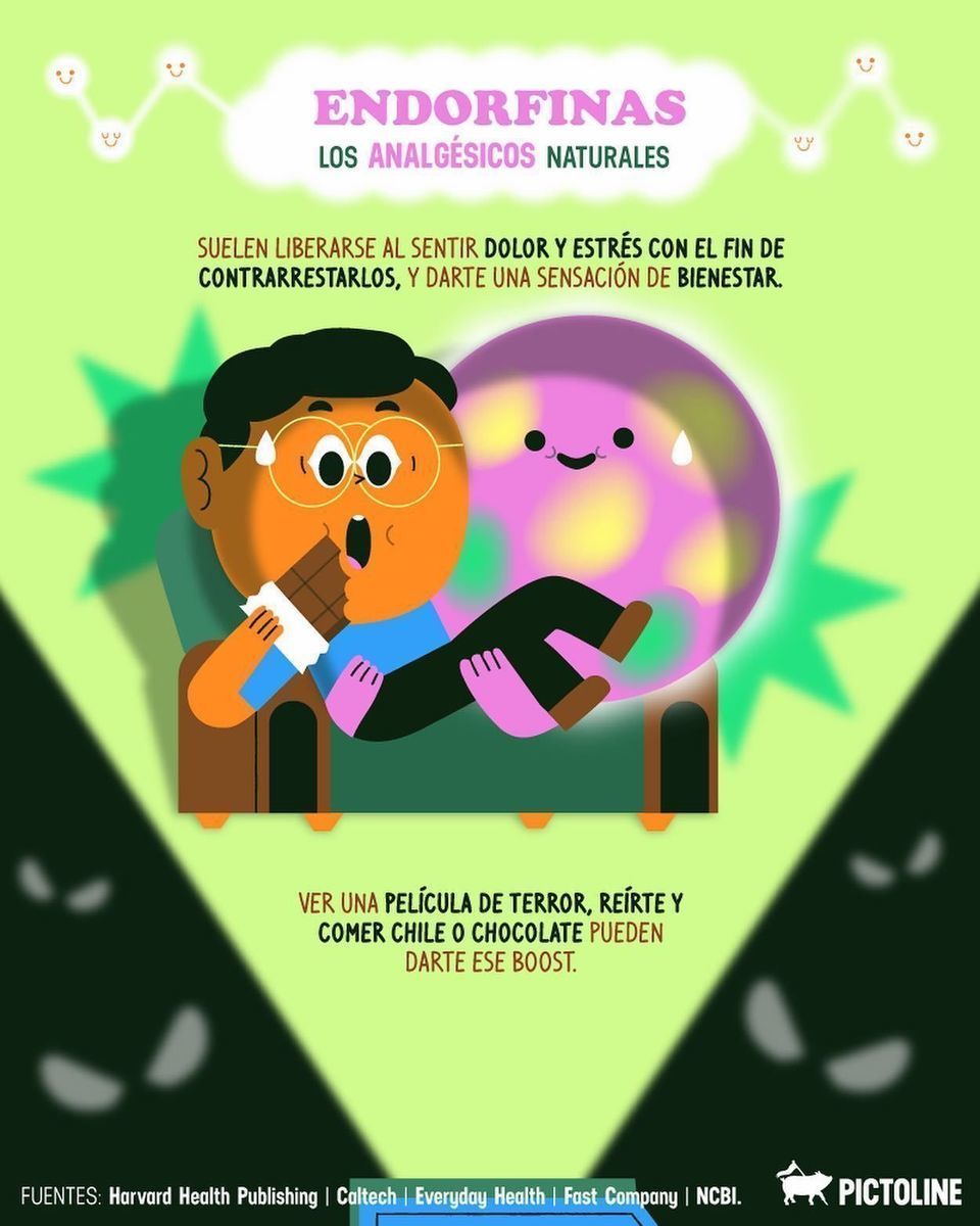 💖🏆 La química de la felicidad 🐶💖 Dopamina, oxitocina, serotonina y endorfinas: qué son y cómo ayudarle a tu 🧠 a producirlas #quimica #endorfinas #dopamina #oxitocina #serotonina #felicidad #cerebro