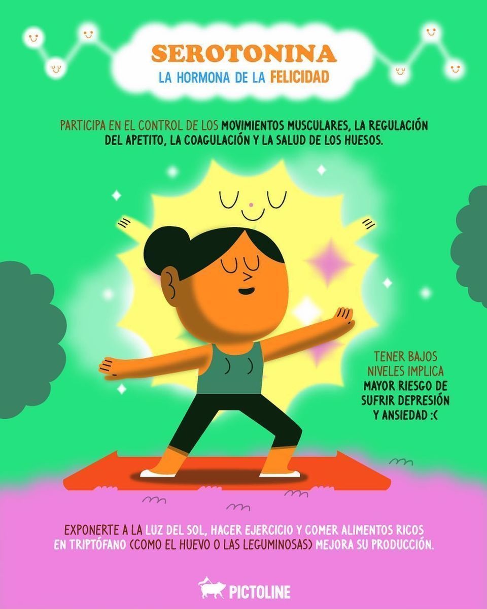 💖🏆 La química de la felicidad 🐶💖 Dopamina, oxitocina, serotonina y endorfinas: qué son y cómo ayudarle a tu 🧠 a producirlas #quimica #endorfinas #dopamina #oxitocina #serotonina #felicidad #cerebro