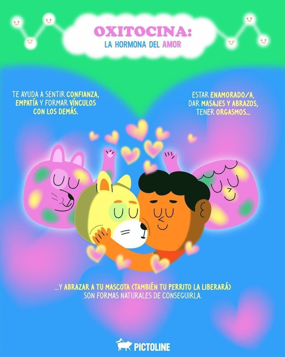 💖🏆 La química de la felicidad 🐶💖 Dopamina, oxitocina, serotonina y endorfinas: qué son y cómo ayudarle a tu 🧠 a producirlas #quimica #endorfinas #dopamina #oxitocina #serotonina #felicidad #cerebro