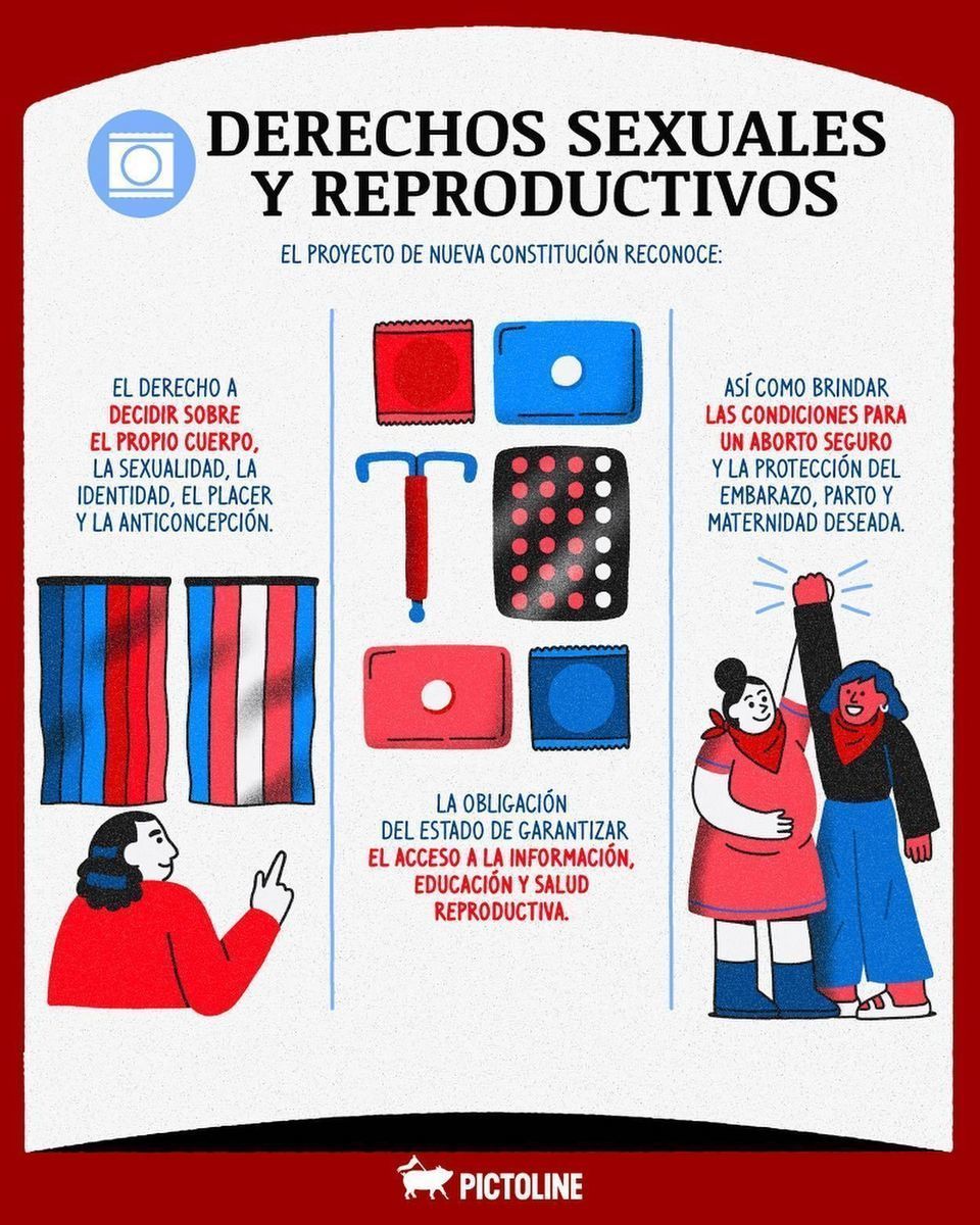 El resumen de algunas de las principales propuestas de la nueva constitución chilena 🇨🇱👆 Una colaboración entre Pictoline y Abofem Chile. Parte 1 / 2 📘 #chile #constitucion #propuestas #resumen #plebiscito #nuevaconstitucion