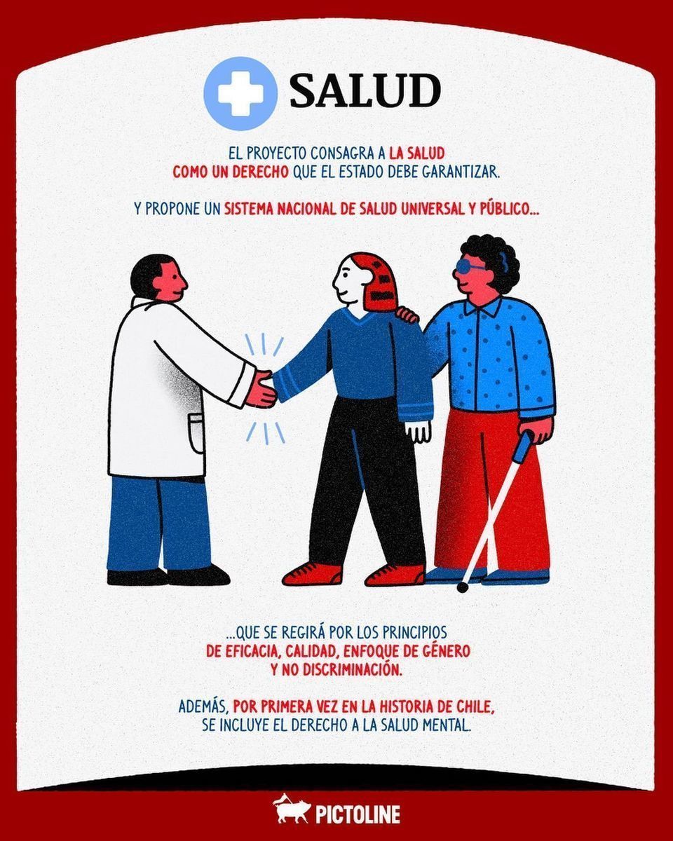 El resumen de algunas de las principales propuestas de la nueva constitución chilena 🇨🇱👆 Una colaboración entre Pictoline y Abofem Chile. Parte 1 / 2 📘 #chile #constitucion #propuestas #resumen #plebiscito #nuevaconstitucion