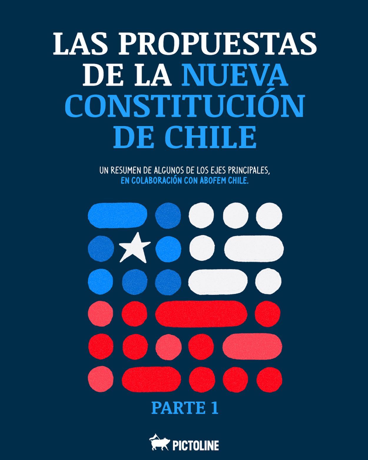 El resumen de algunas de las principales propuestas de la nueva constitución chilena 🇨🇱👆 Una colaboración entre Pictoline y Abofem Chile. Parte 1 / 2 📘 #chile #constitucion #propuestas #resumen #plebiscito #nuevaconstitucion