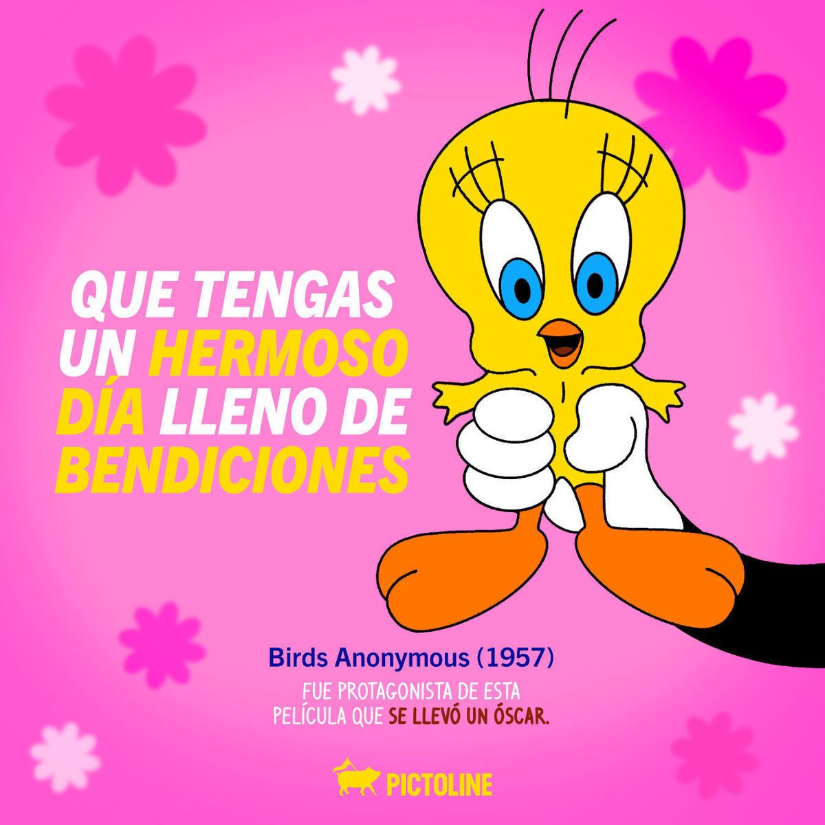 💖 Bendiciones 💖 en tu aniversario 80 🎁, Piolín ✨👇