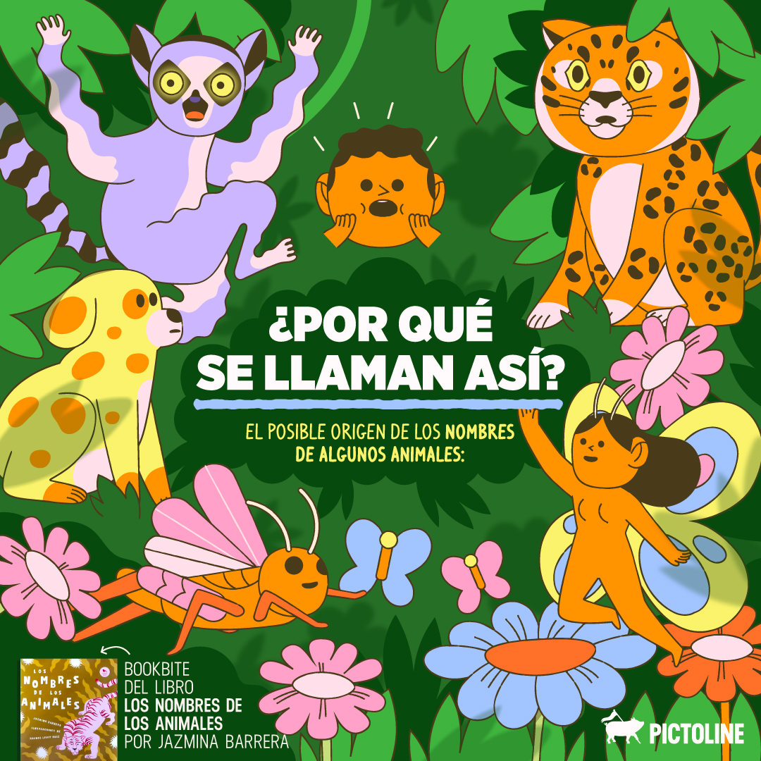 Jaguar 🐱 mariposa 🦋 chapulín 🦗✨En el Día Mundial de la Vida Silvestre, ¿por qué se llaman como se llaman algunos animales?