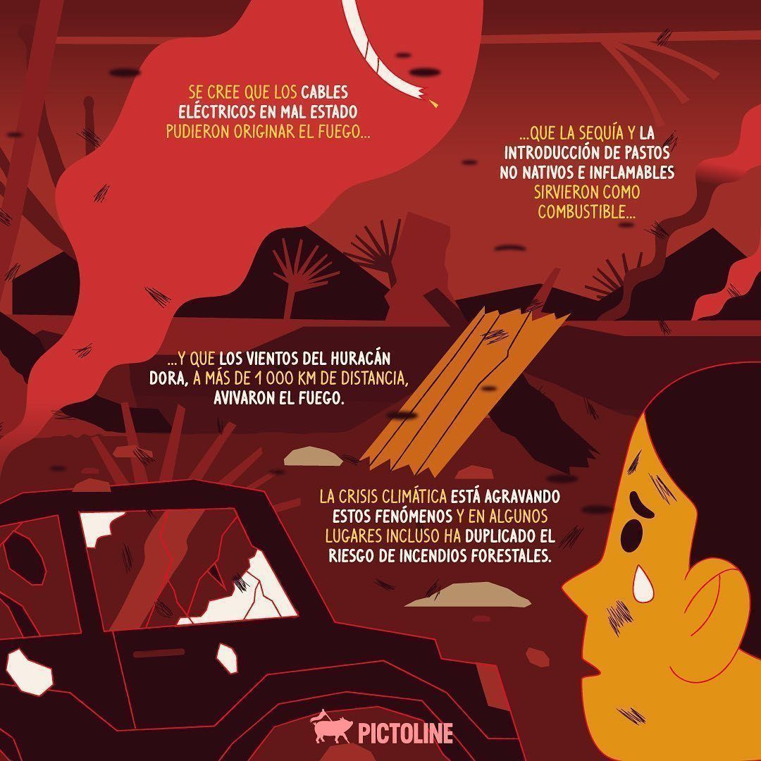 Seguro has visto las imágenes de los incendios que arrasaron Hawái 😞 A casi un mes del desastre, ¿cómo se ve la devastación, qué causó el fuego y cuál es el saldo? #incendios #hawai #crisisclimática #devastación #incendiosforestales