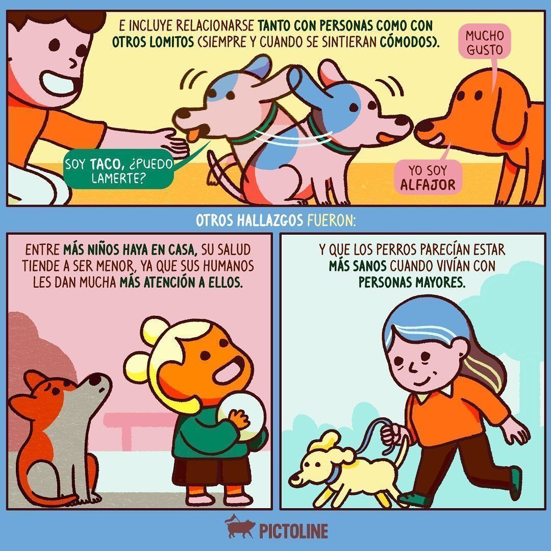 Felices de estar contigo 🐶💖 A tu perrito le beneficia tanto como a ti interactuar con otros: #perritos #lomitos #dogs #dogslife