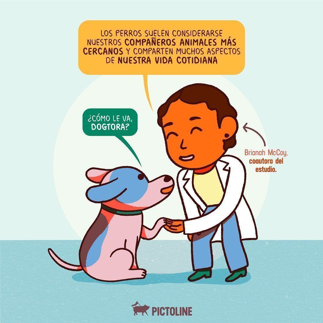 Felices de estar contigo 🐶💖 A tu perrito le beneficia tanto como a ti interactuar con otros: #perritos #lomitos #dogs #dogslife