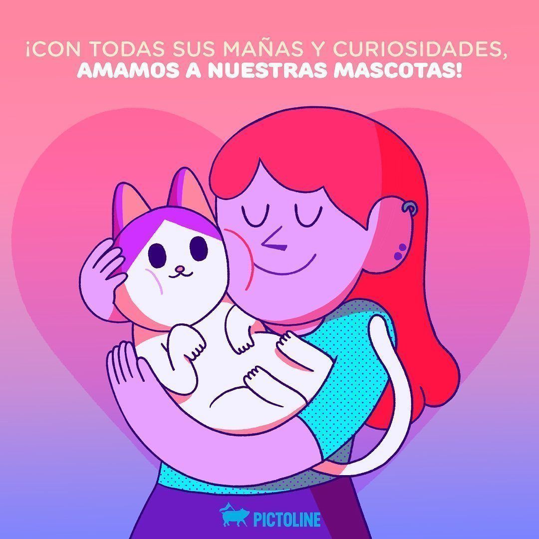 Exploramos el mundo detrás del comportamiento de nuestras mascotas 😮🐶😻😍💞 #mascotas #perritos #gatitos #dogs #catslover