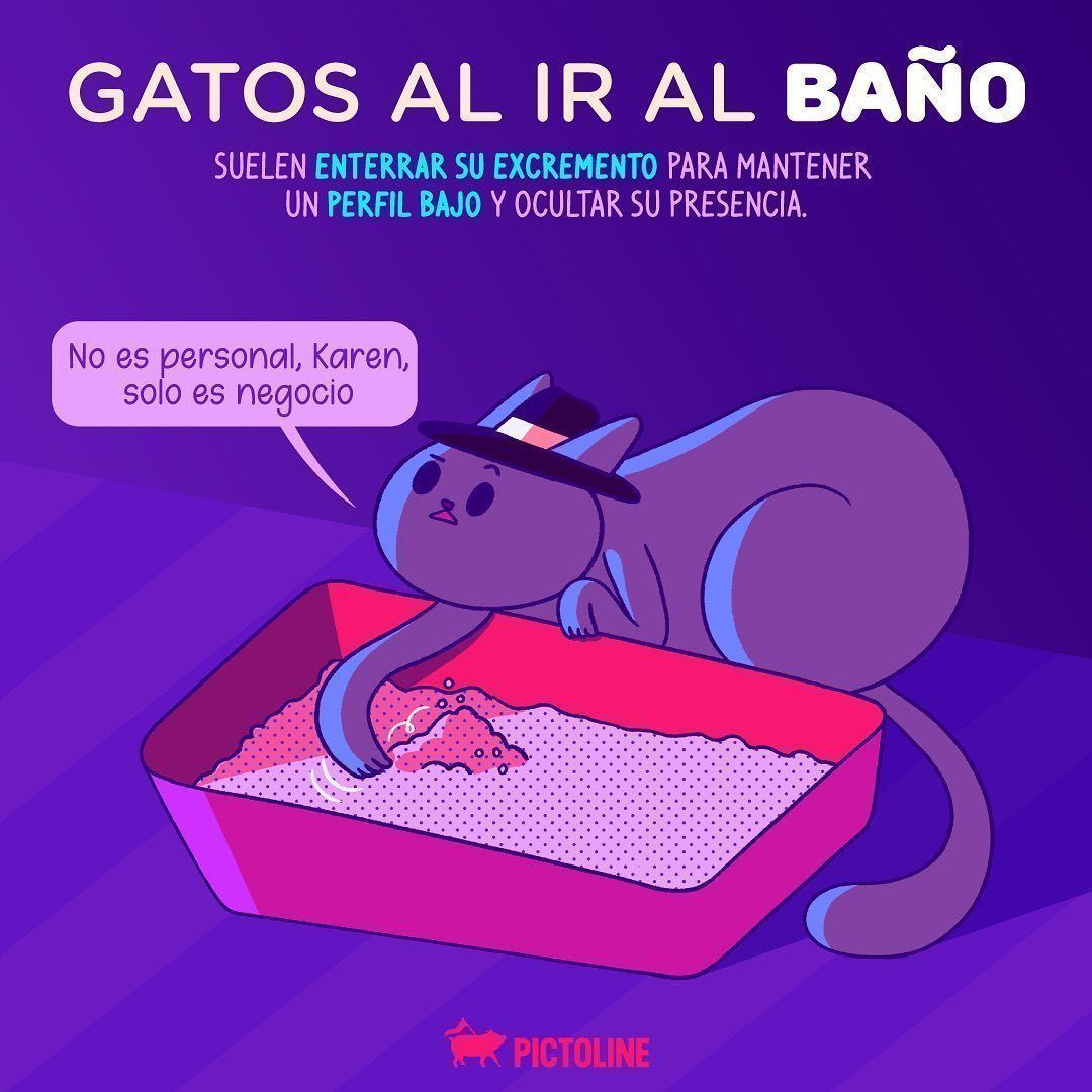 Exploramos el mundo detrás del comportamiento de nuestras mascotas 😮🐶😻😍💞 #mascotas #perritos #gatitos #dogs #catslover