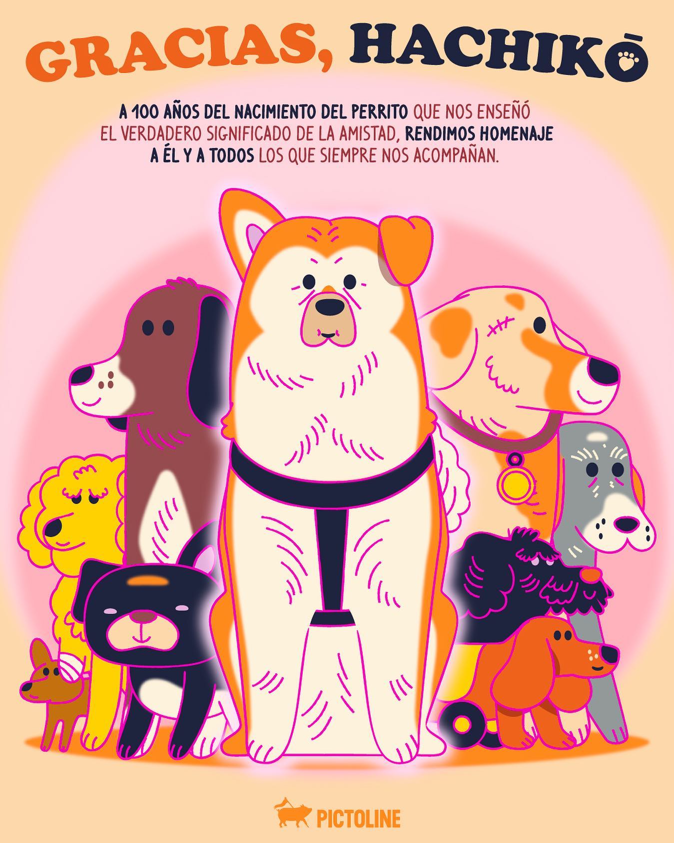 Te TQM 🫶 Hachiko 🐶 y todos los lomitos del mundo 🐕🌎💗 #hachiko #perritos #dogs #cheems