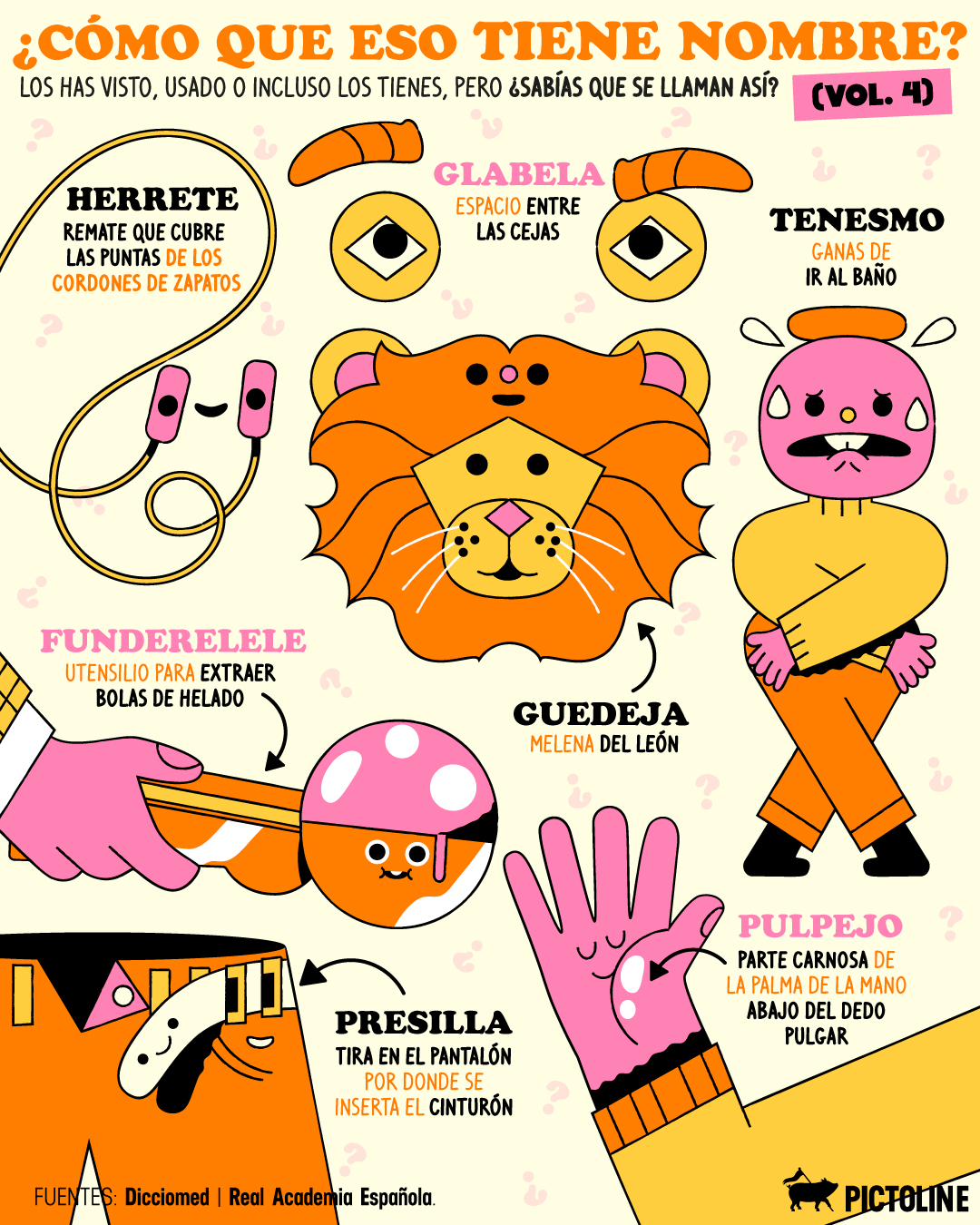 Nueva palabra favorita: funderelele 🤓🫰🍦 #palabras #diccionario #herrete #tenesmo #vocabulario #pulpejo