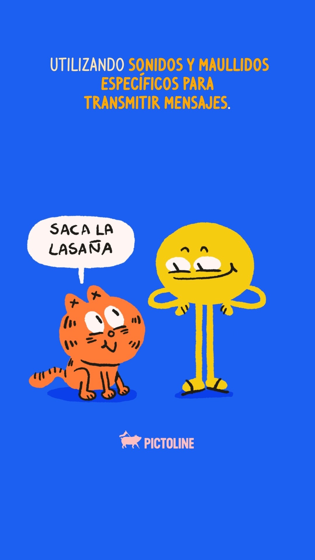 Aunque a veces les entre la locura, les amamos mucho 😻🧡 #gatitos #cat #gatosnaranjas #naranja