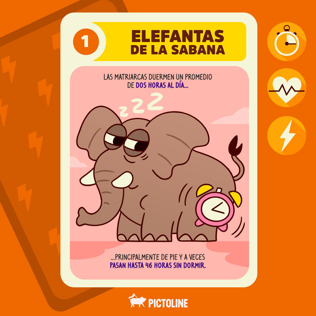 Mi "superpoder" depende de una taza de café 👀☕ ⁣ #animales #interesante #curioso