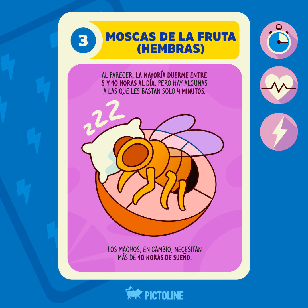 Mi "superpoder" depende de una taza de café 👀☕ ⁣ #animales #interesante #curioso