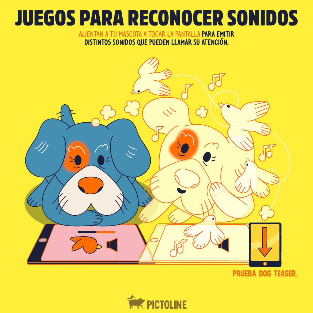 Algunas opciones de apps para incentivar el juego y movimiento en mascotas viejitas 😺🐶 👵📲 #App #Juegos #Mascota #TipsMascotas