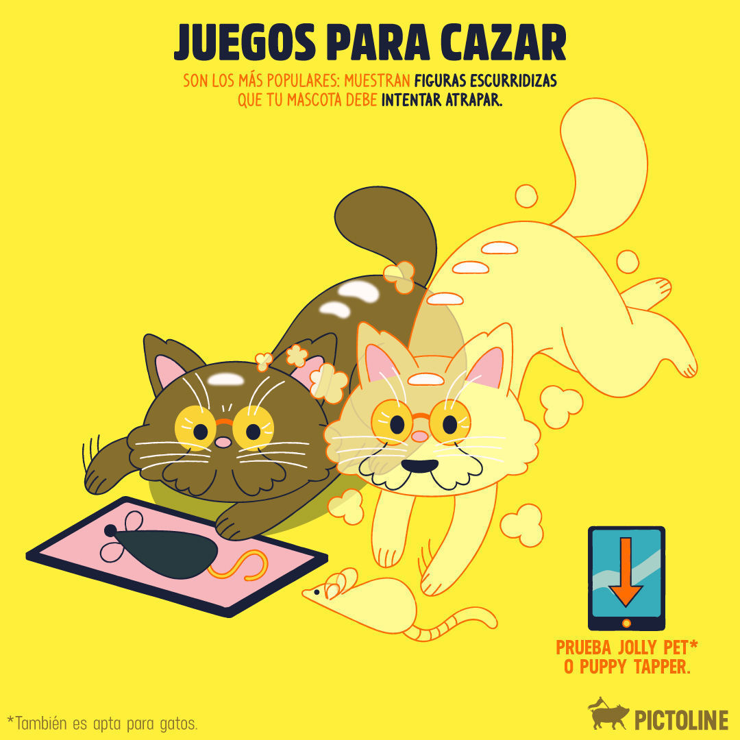 Algunas opciones de apps para incentivar el juego y movimiento en mascotas viejitas 😺🐶 👵📲 #App #Juegos #Mascota #TipsMascotas