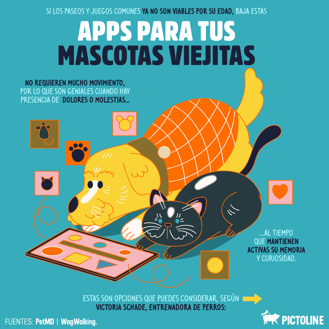 Algunas opciones de apps para incentivar el juego y movimiento en mascotas viejitas 😺🐶 👵📲 #App #Juegos #Mascota #TipsMascotas