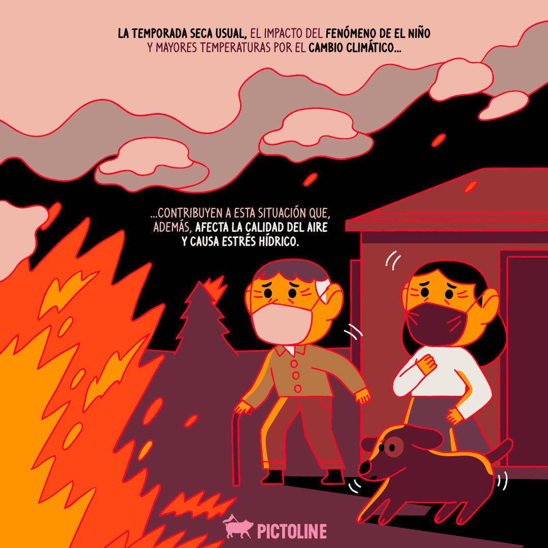 Vegetación consumida, animales heridos, mala calidad de aire... Esto vive #Colombia por el fuego:⁣ #Incendios #IncendiosForestales