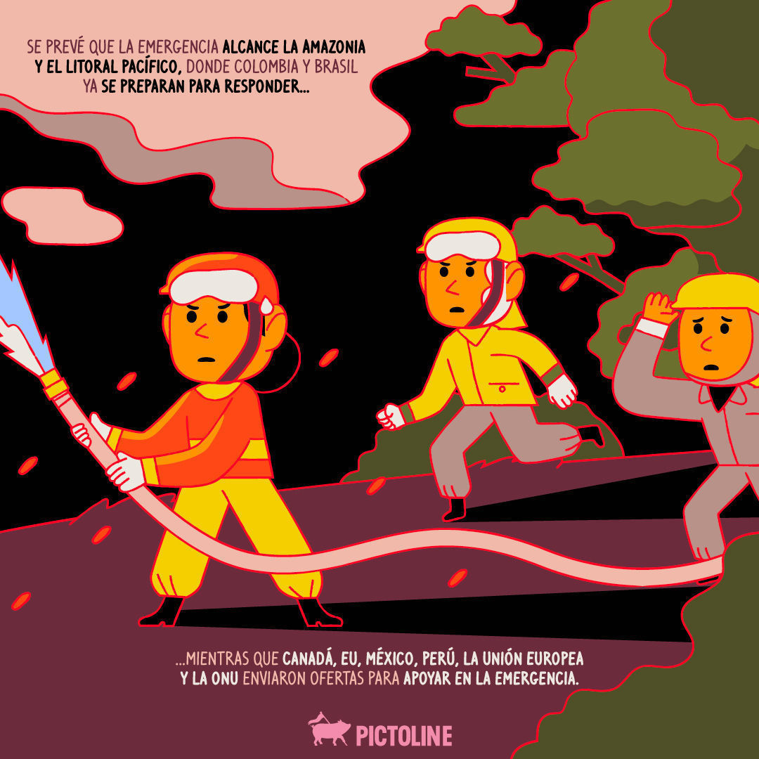 Vegetación consumida, animales heridos, mala calidad de aire... Esto vive #Colombia por el fuego:⁣ #Incendios #IncendiosForestales