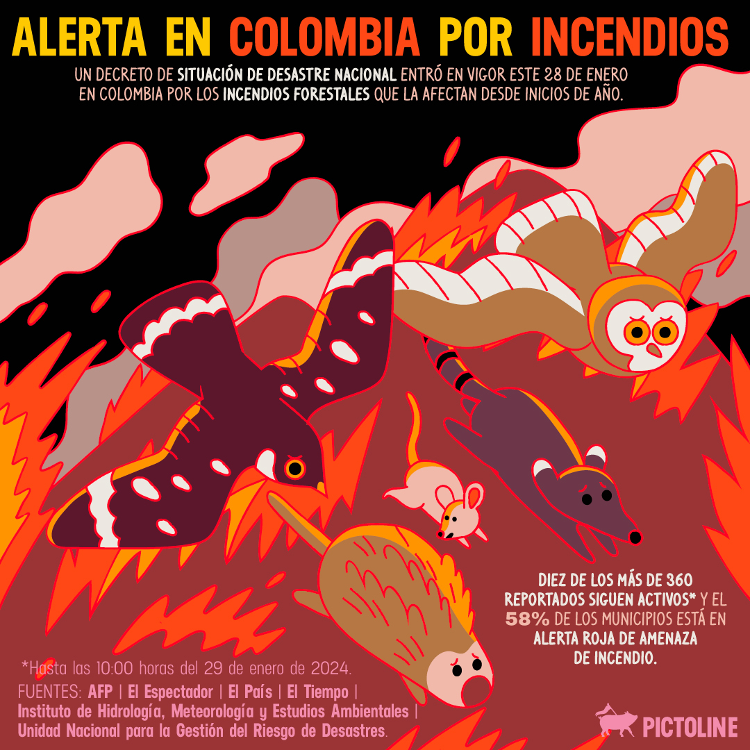 Vegetación consumida, animales heridos, mala calidad de aire... Esto vive #Colombia por el fuego:⁣ #Incendios #IncendiosForestales