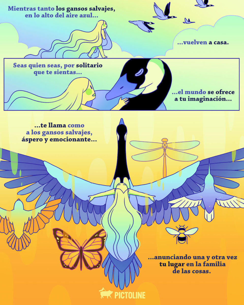 🦋 Seas quien seas, por solitario que te sientas, el mundo se ofrece a tu imaginación 🍃✨ #diadelapoesia #poesía