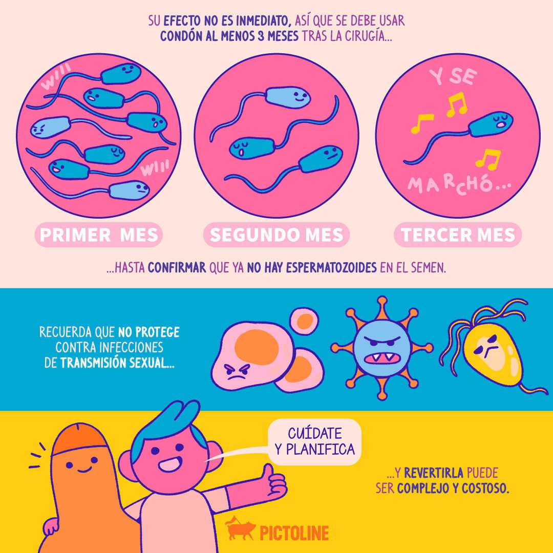 La vasectomía es segura y su efectividad es de 99%, ¡infórmate! 🩺🔍 #vasectomía #planificación #urulogía #salud