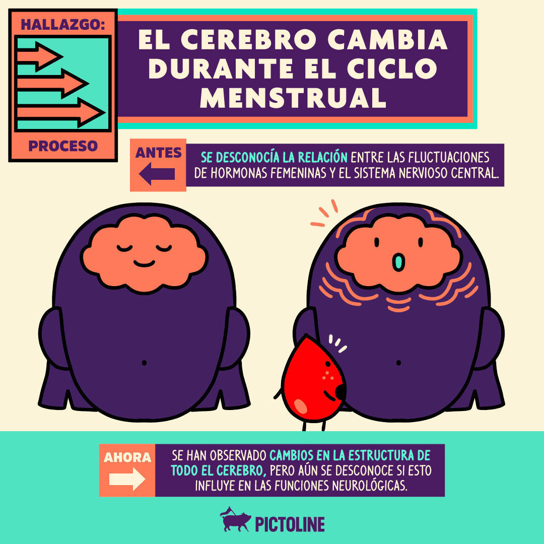 La salud de las mujeres finalmente es estudiada 👩👏🔍 #Salud #SaludFemenina #WomensHealth #Mujeres