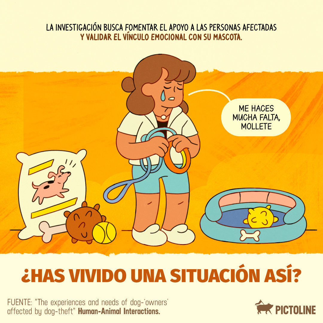 Si te robaron a tu perrito, entendemos tu sentir ❤️‍🩹🐶 #robodeperros #amorperruno #Mascota #Ausencia