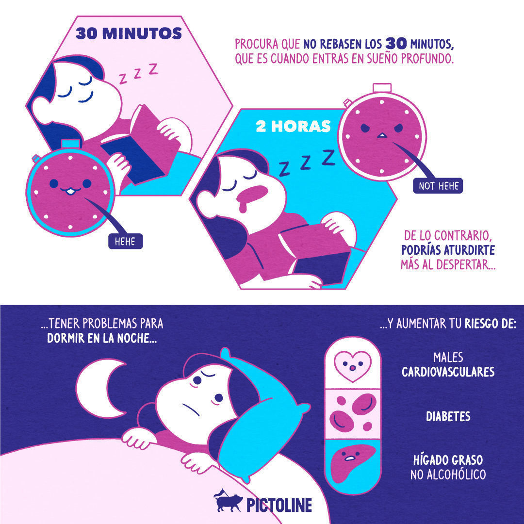 Se va dormir, se va a dormir y se durmió 📲⏰😴☀️ #Siestas #Dormir #Sueño #Salud #Descanso
