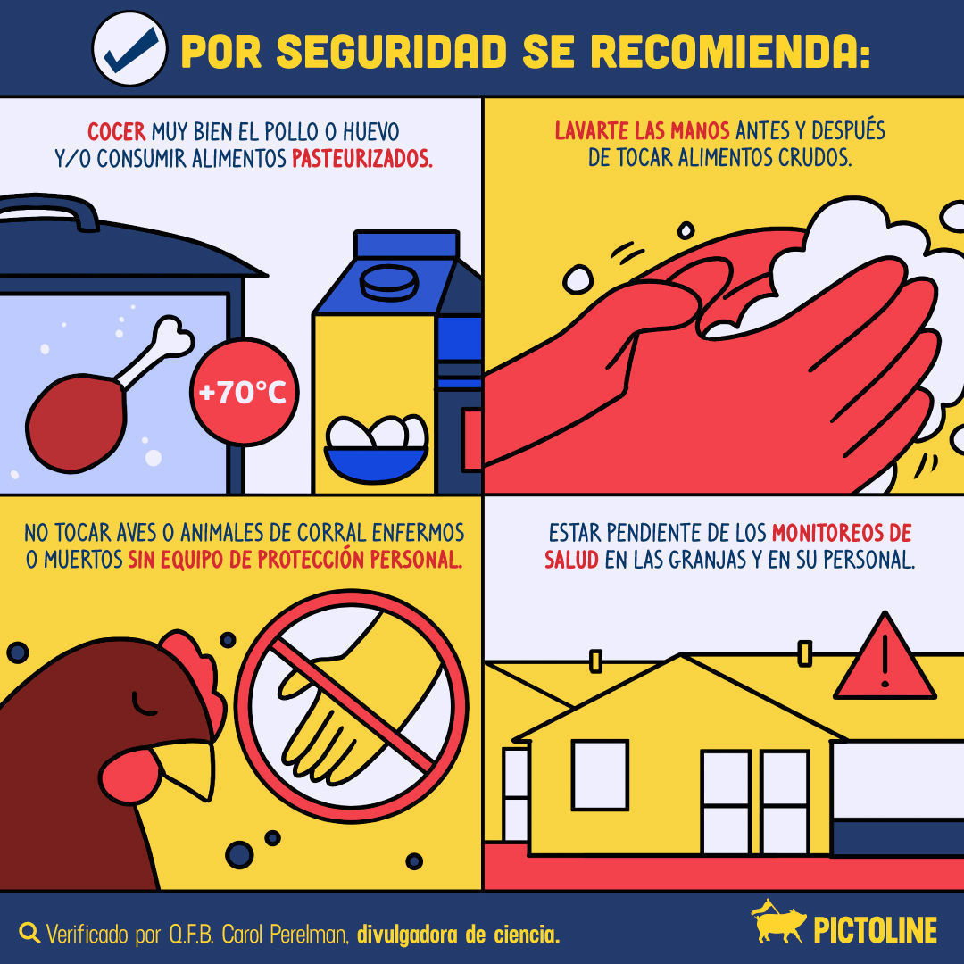 ¡Que no cunda el pánico! No te contagiarás de gripe aviar 🐔🦠 por comer pollo o huevo bien cocidos 🥚🍳🍗⁣ ⁣ #GripeAviar #InfluenzaAviar #H5N2 #México