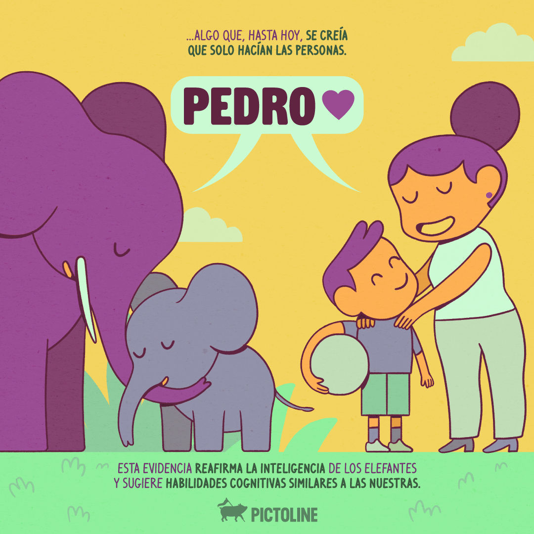 ✨ Noticias bonitas de la semana: los 🐘 usan nombres 💖 #Elefantes #Nombres #Animales #Curiosidades
