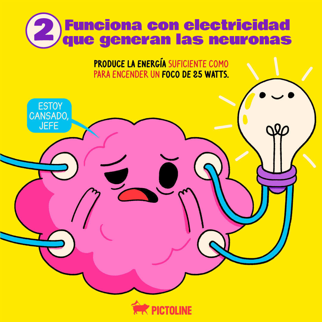 Tú: Ya nada me sorprende… 🥺⁣ El cerebro humano: Pues mira mis funciones, mi ciela 🧠👁️👄👁️🧠⁣ ⁣ #DíaDelCerebro #WorldBrainDay #DíaMundialDelCerebro #Cerebro #Neurociencia #Pictoline